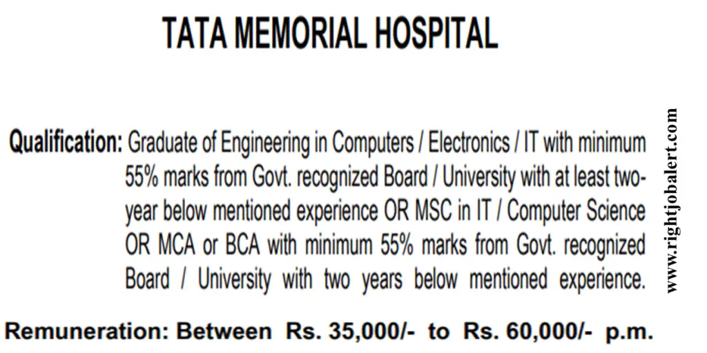 TMH API Developer Computers,Electronics,IT Engineering Job Opportunities 35,000-60,000 Salary